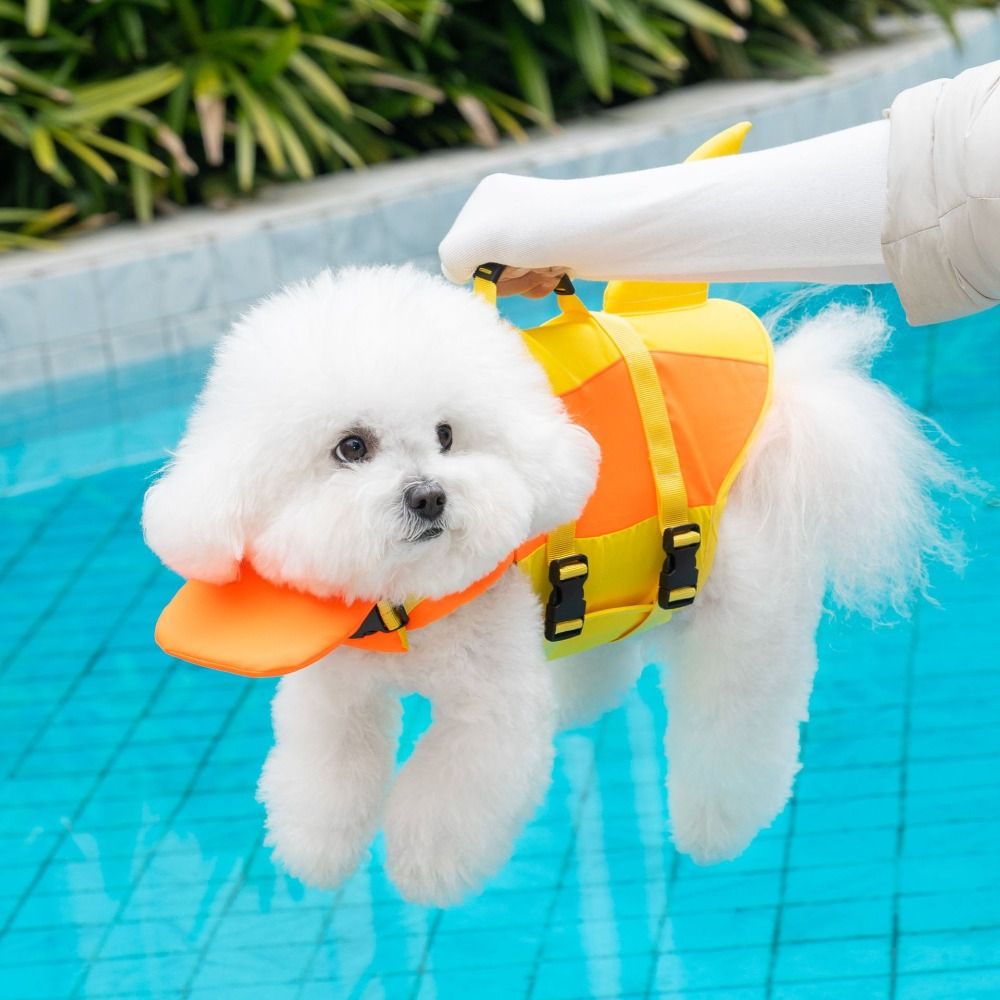 Shark Shape Dog Life Jacket Wa - đánh giá và giá Life Jacket